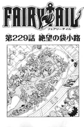 Cover 229