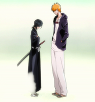 Ep342 Ichigo & Rukia