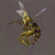 Hornet-ffx-enemy.png