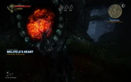 Witcher2-anezka-ritual-01