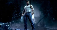 Wolverinegame