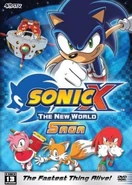 Sonic X 13