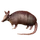 Item armadillo 01