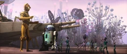 Nomad Droids