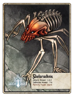 Skelorachnis