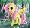 Fluttershy graceful