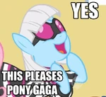 Pony Gaga image macro