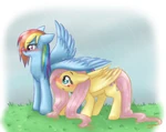 Fluttershy wing covering