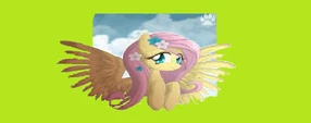 Fluttershy by Rainbowdashy