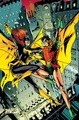 Robin Dick Grayson 0003