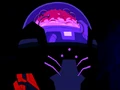 The Brain