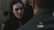 Spn501-0500.jpg