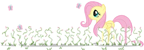 EqD Logo 9-29-11