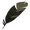 Crow Feather