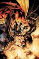 Nightwing 0060