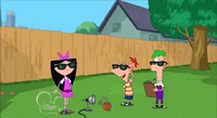 Phineas, Ferb, and Isabella with sunglasses