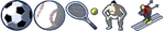 Sports interest