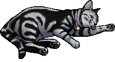 Millie.kittypet.alt