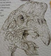 Xtreemdinos7