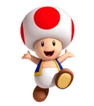 Toad3DLand