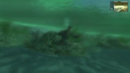 Swimming (San Esperito)