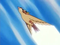 Ash Pidgeot Quick Attack