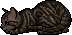 Sweetpaw.kit.alt.png