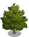 Eastern Red Cedar1-icon