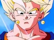 Images (1