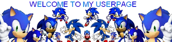 Mewkat14SonicOneCharacterWElcome