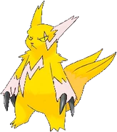 Sammy Shokku