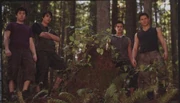BreakingDawn WolfPack