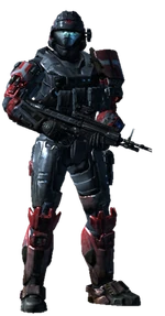USER Karl591-reach