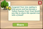 Yellow Passion Fruit Tree Growth Message