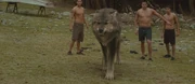 Cool Paul Wolf-Form