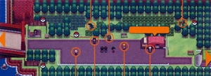 Unova Route 5