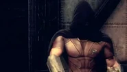 Batman-arkham-city-robin