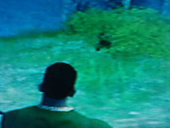 GTA SA Bigfoot (Closer)