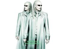 The Twins