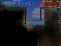 Terraria Lava Trap