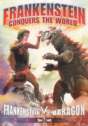 FvB DVD