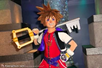 Sora DLP