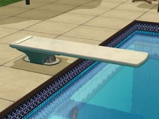 TS2 diving board