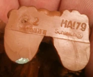 Sweetums schleich date