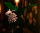 Griffon