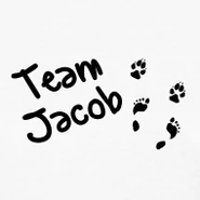 Team-jacob design (1)
