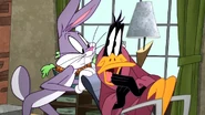 Working Duck (16)