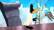 Working Duck (42)