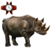 Item rhinoceros 01