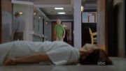 Susancollapses